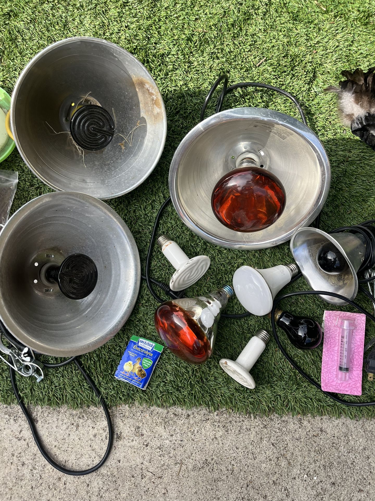 Chicken Supplies: Heat Lamps, Feeders, Etc