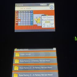 Nintendo DS Lite