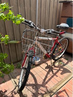 21 speed bike