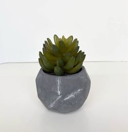 Small Artificial Succulent in Cement Pot