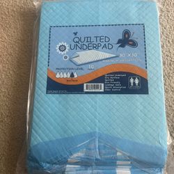 Puppy training pads 30” x 30”.  Maximum absorption. Protection level 10. Count 10