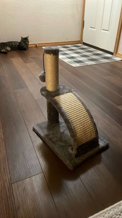 Small cat scratcher