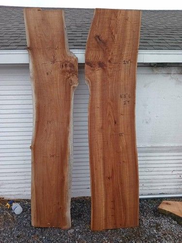 live edge hard wood slabs