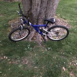 24” Mountain Bike 