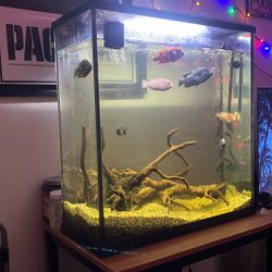 50 Gallon Tall Fish Tank