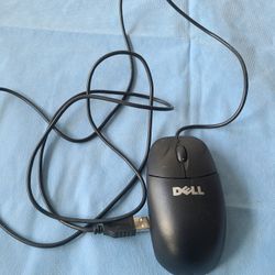 Dell's Mouse, USB Connection 