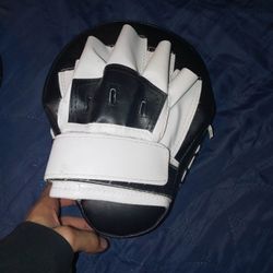 Boxing Training Pads