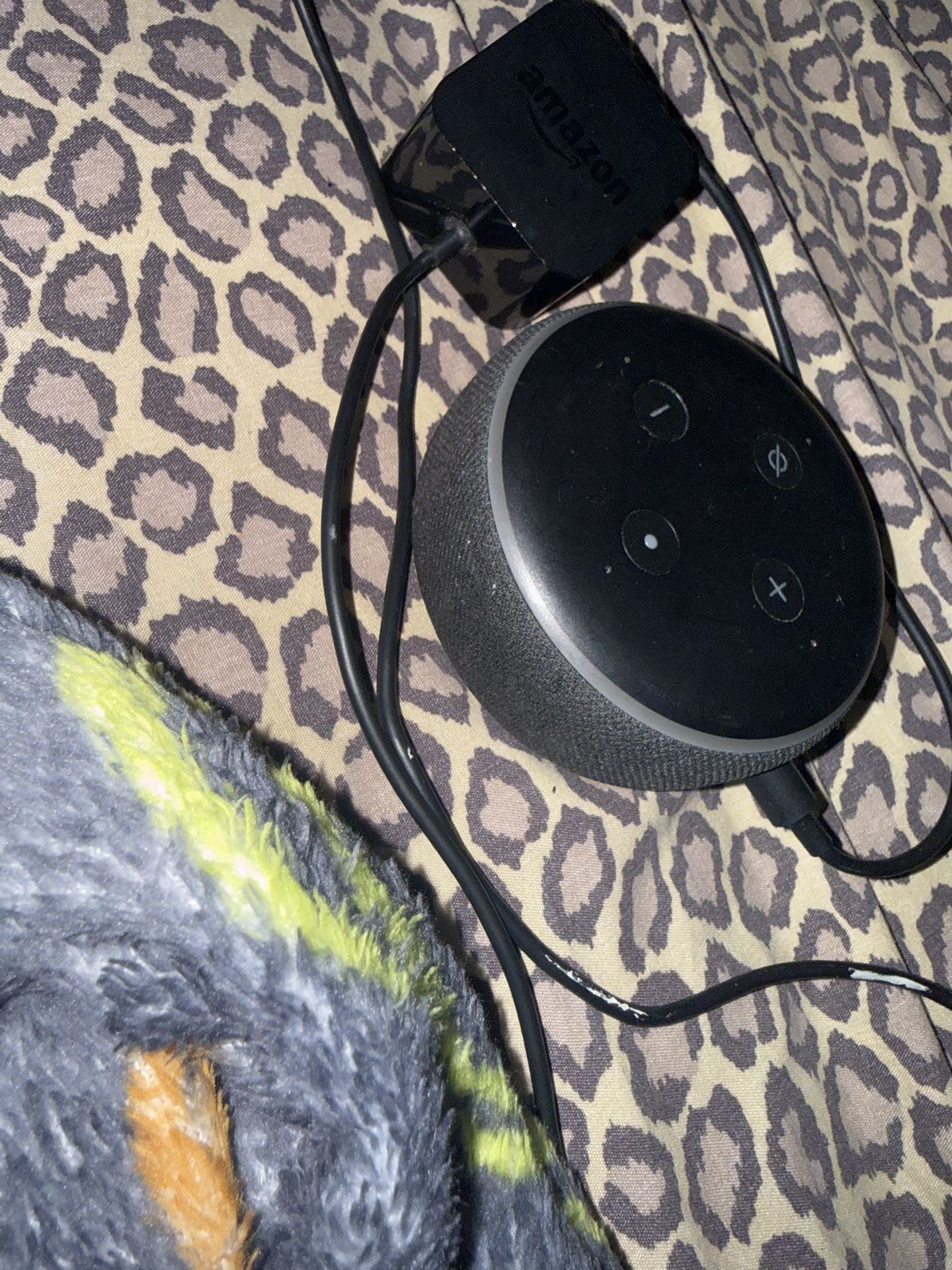 amazon alexa