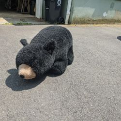Big Stuffed Bear