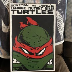 Ninja Turtles Board 