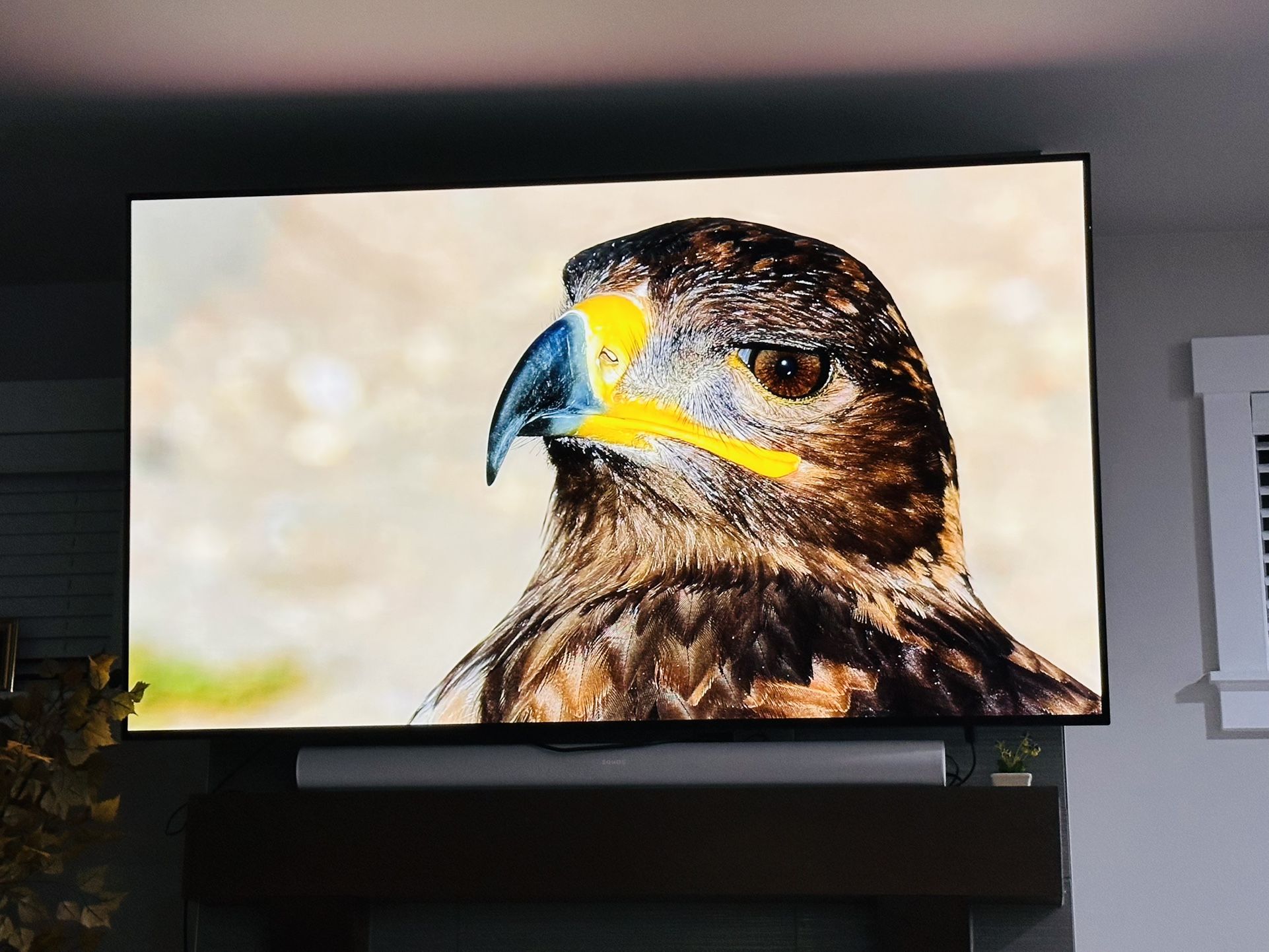 LG OLED 77 Inch C2