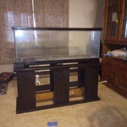 Big Fish Tank