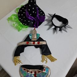 Cat Dog Halloween Costumes $10 (3 Costumes)