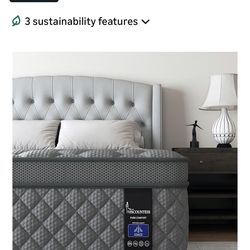 New Twin Mattress 10”