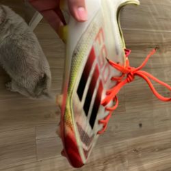 F50 Pure Victory Elite 