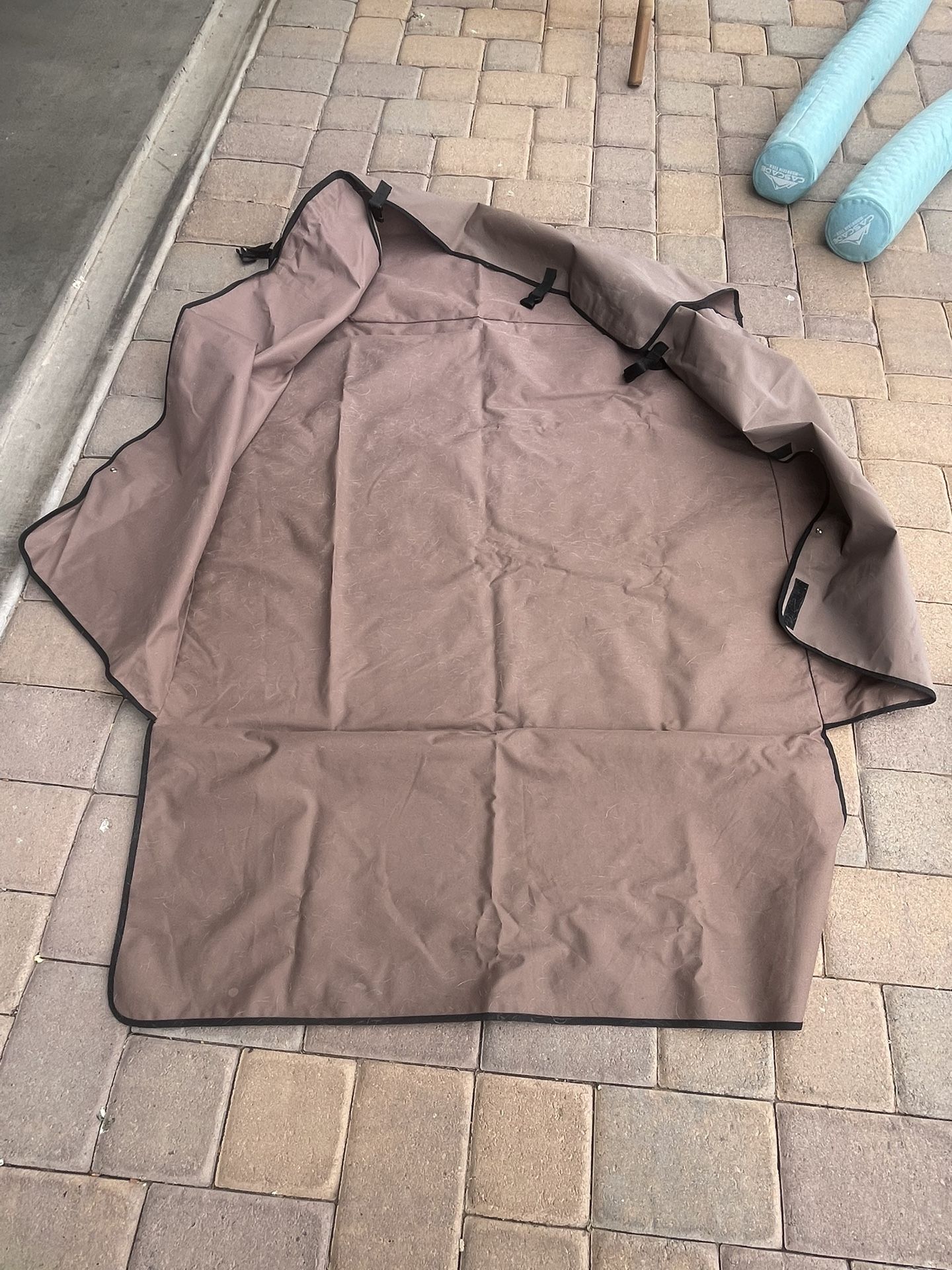 Dog Cargo Cover