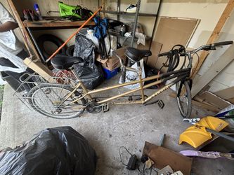 Raleigh 2 Seated Bicycle With Carriage 