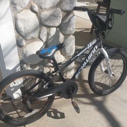 Schwinn 20" Boys Bike