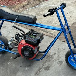 Mini Bike / GTS $450!