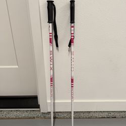 Youth Ski Poles 85cm