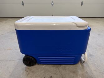 Igloo Cooler