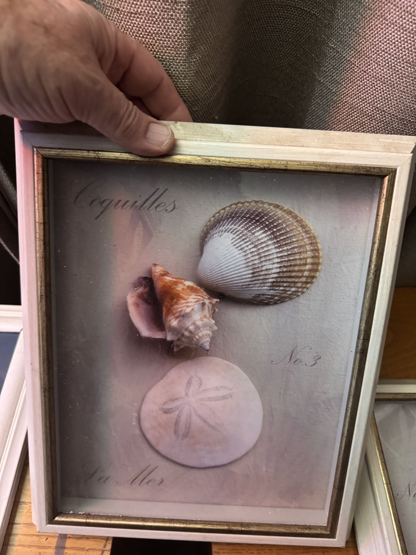 Two Framned Paintings Horseshoe and Starfish