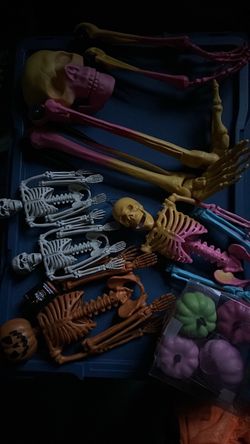 Pumpkins and skeleton