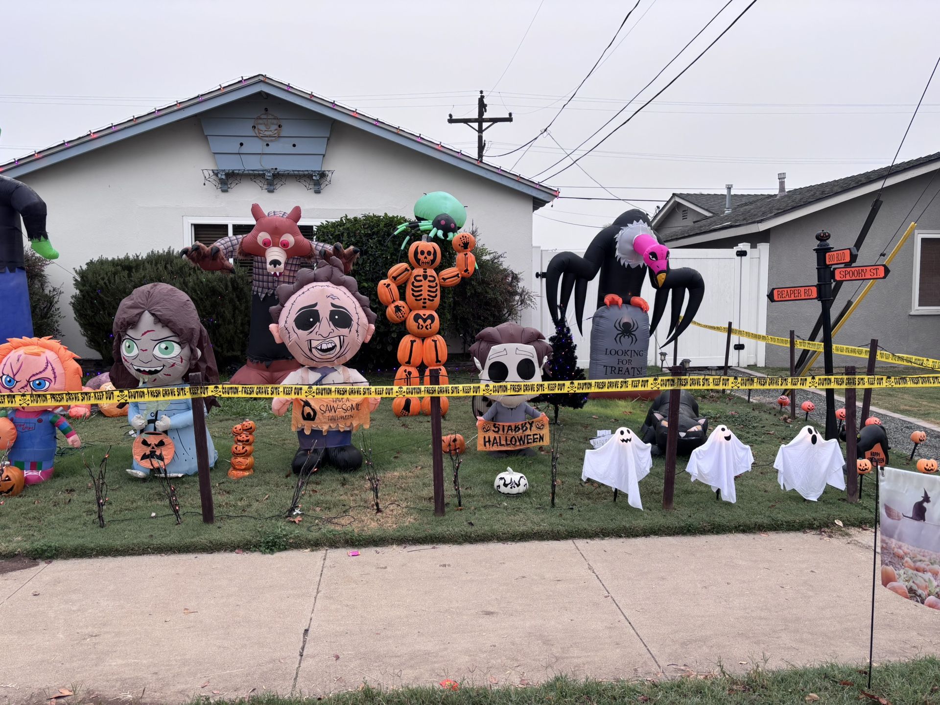 Holiday Decorations And Household Items 