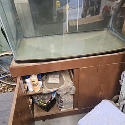 Terranium For Animal Or Fish Tank