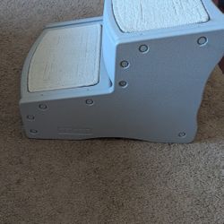 Steps For Dog