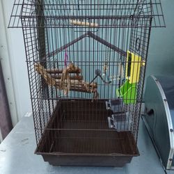 30" Loaded Bird Cage