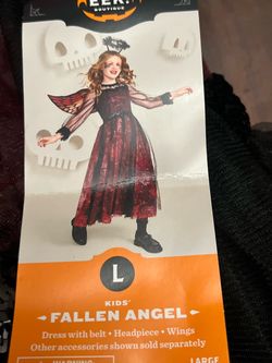 Red fallen Angel very nice costume