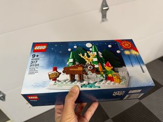 LEGO Santa’s Front Yard  40484