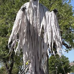 Home Depot 15ft phantom