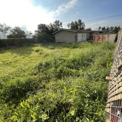 Yard Clean Up ! 🍃 