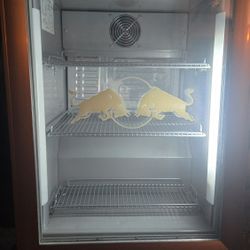 Red Bull Refrigerator 