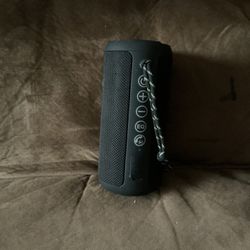 Ortizen Bluetooth Speaker