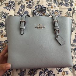 Coach Mollie Tote