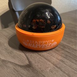 Disney Light -Thanksgiving 