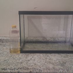 25 Gallon Tank