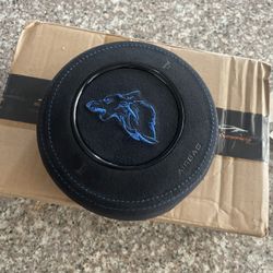 2022 Mustang Coyote Custom Airbag Cover 
