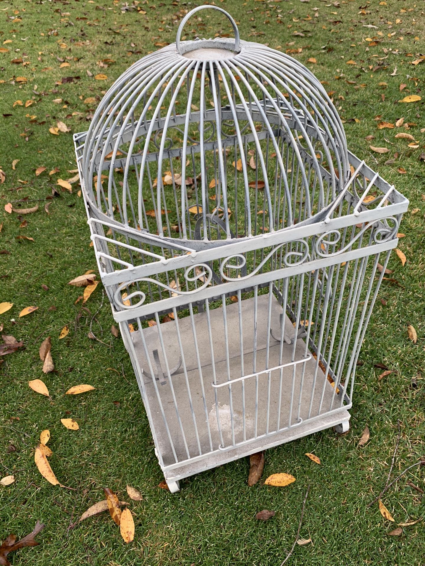 Metal Bird Cage