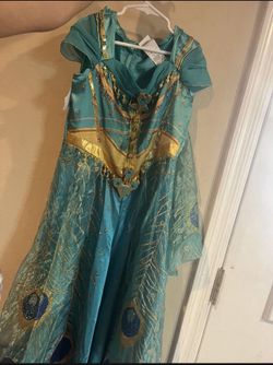 Princess Jasmine costume