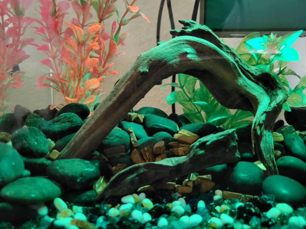 2 . 5  Gl Fish Tank 
