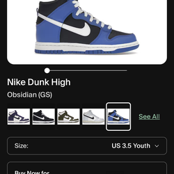 Nike Dunk high obsidian