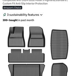 Tesla 2025 floor mats