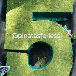 Moss Piñata
