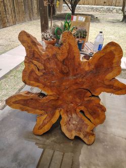 Wood trunk slab