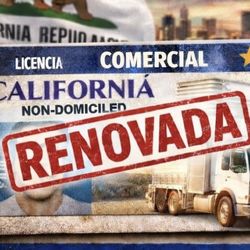 Renovar Suspendida Primera Vez? 