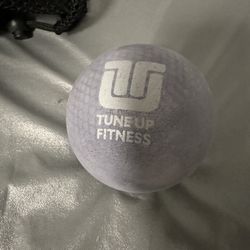 2 Tune Up Fitness Balls
